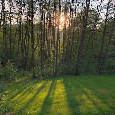 Ferienchalet-Floesswehrtal Bad Lauterberg Zewnętrze zdjęcie