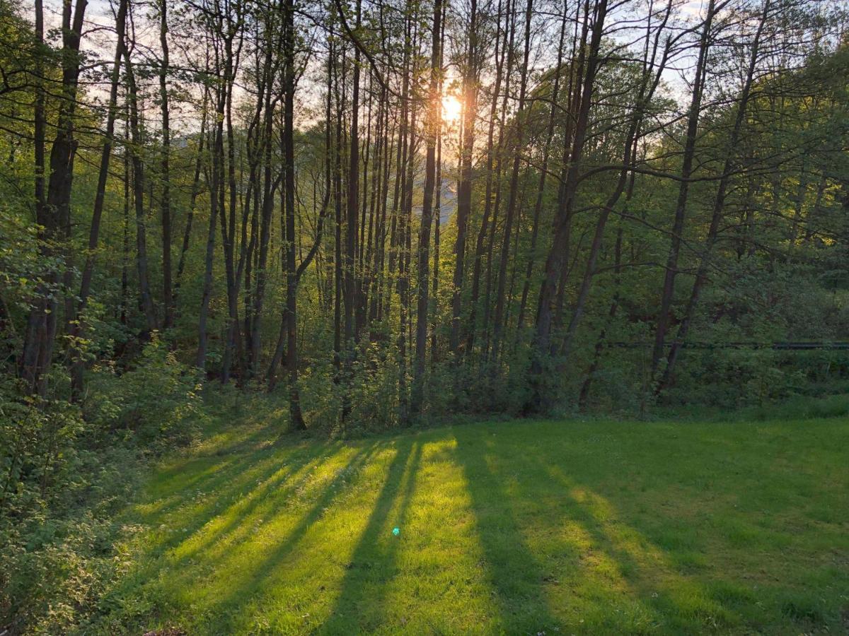 Ferienchalet-Floesswehrtal Bad Lauterberg Zewnętrze zdjęcie